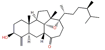 Swinhoeisterol F